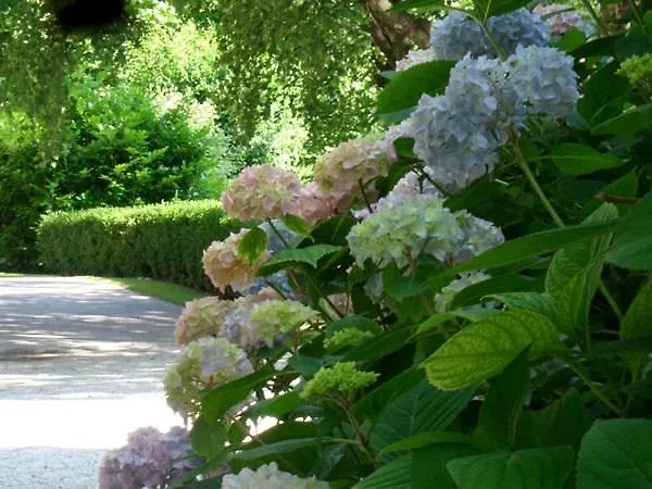 Hotel Familienhotel Zum Kirchenwirt-hofer 3*